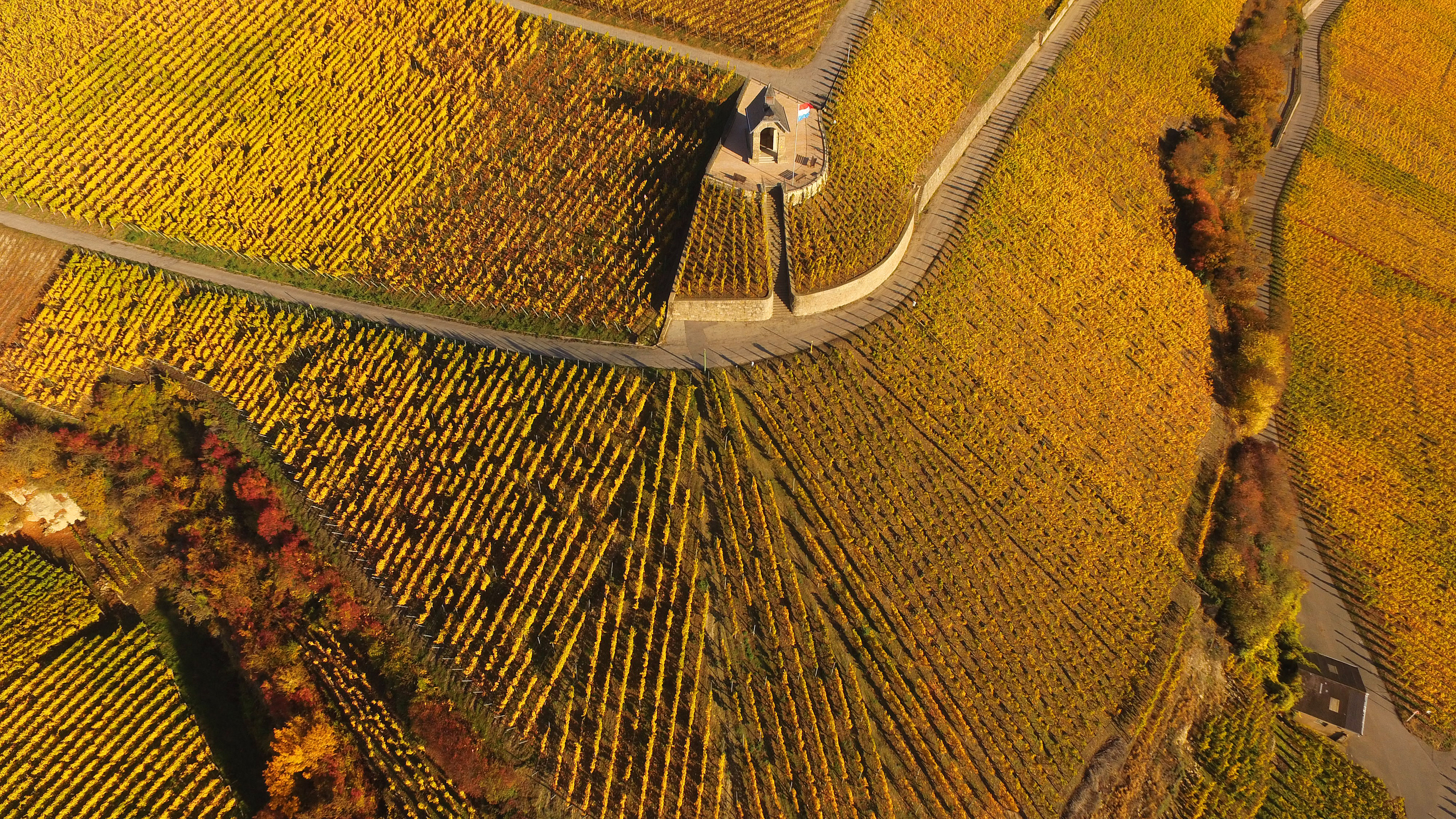 Domaine Alice Hartmann